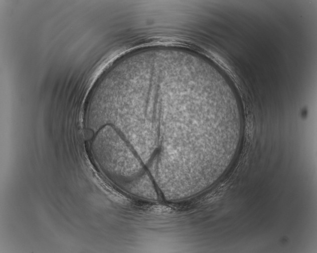 X0000116061283200912111519