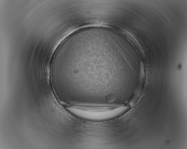 X0000116061284200912111519