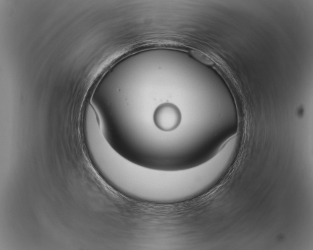 X0000116061285200912111519