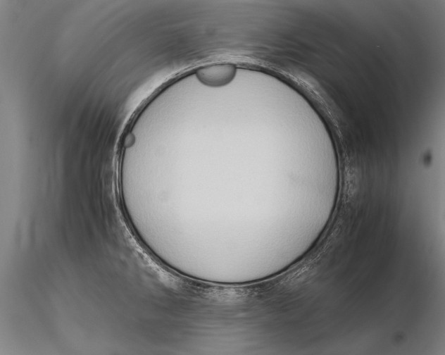 X0000116061286200912111519