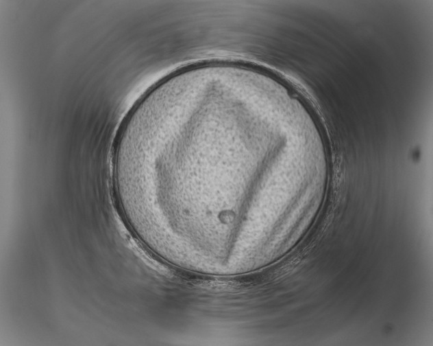 X0000116061287200912111519