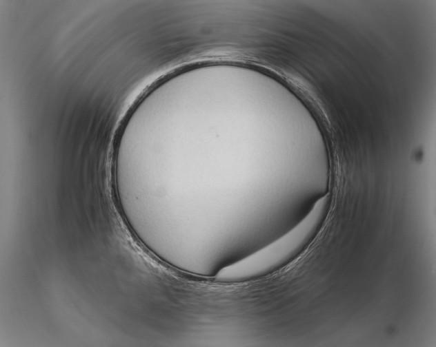 X0000116061288200912111519