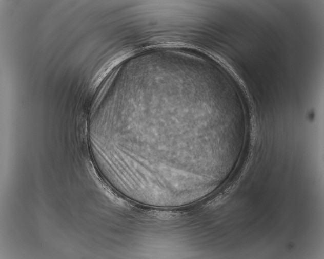 X0000116061289200912111519