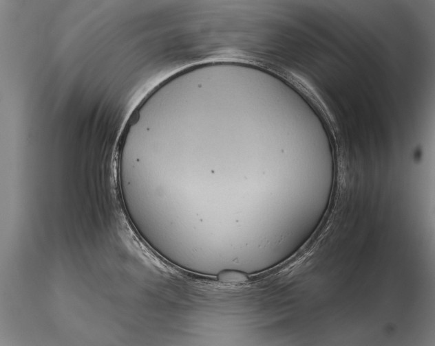 X0000116061292200912111519