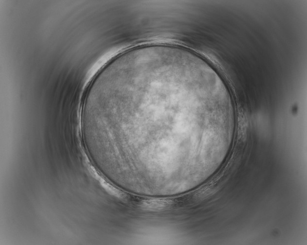 X0000116061294200912111519