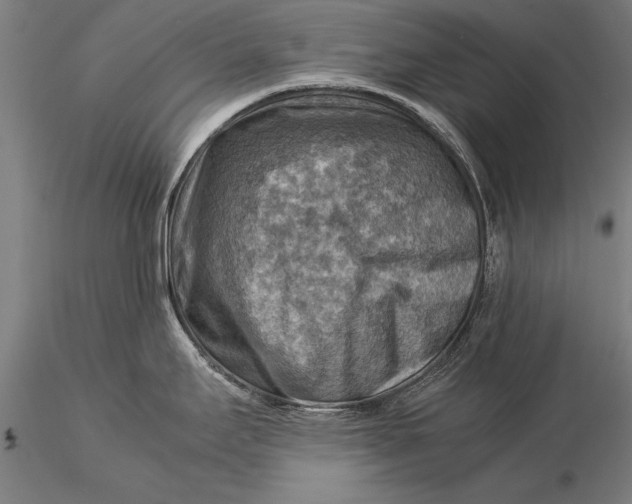 X0000116061295200912111519