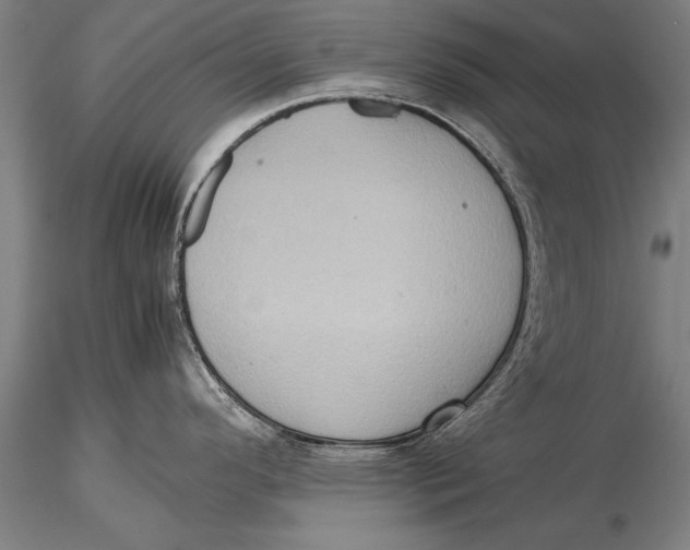 X0000116061296200912111519