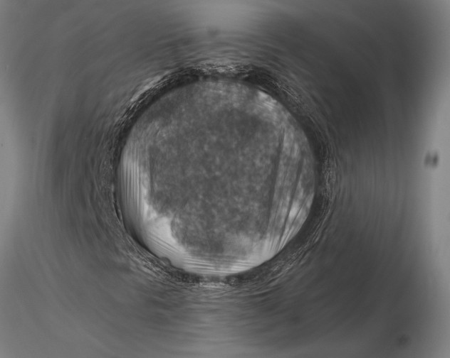 X0000116061297200912111518