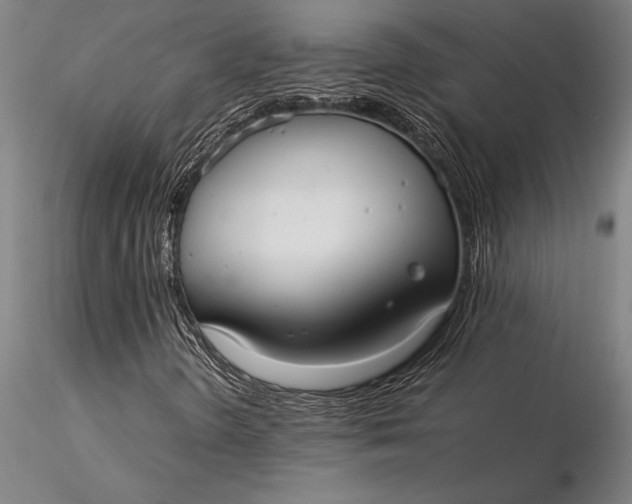 X0000116061298200912111518