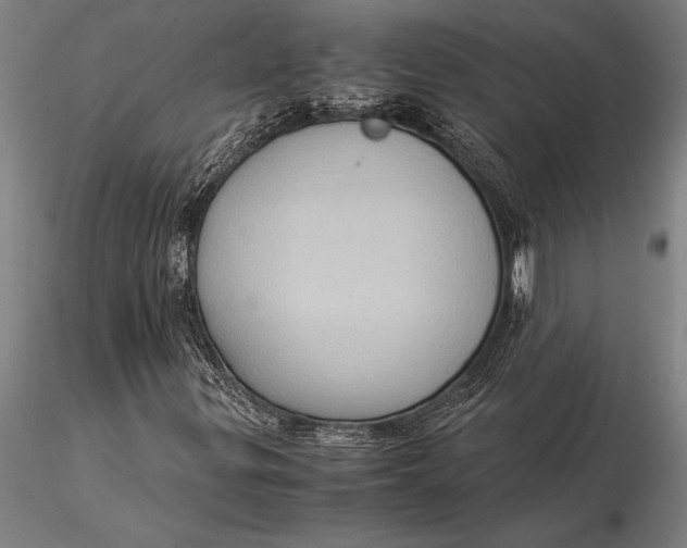 X0000116061299200912111518