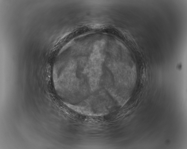 X0000116061301200912111518