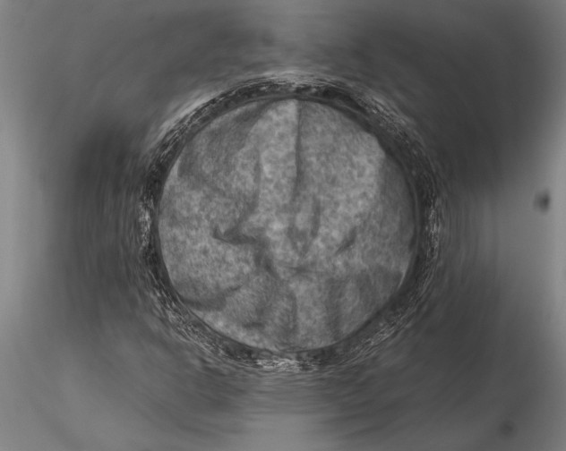 X0000116061302200912111518