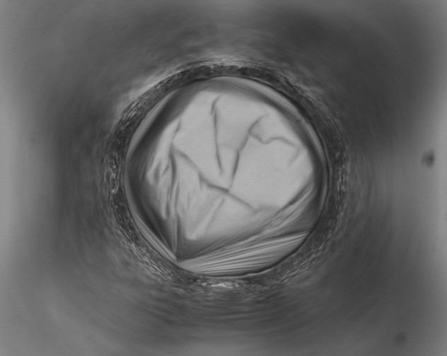 X0000116061303200912111518