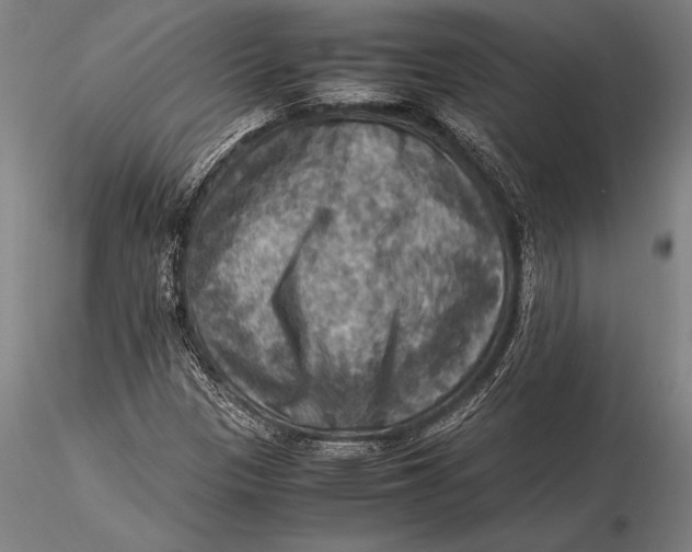 X0000116061305200912111518