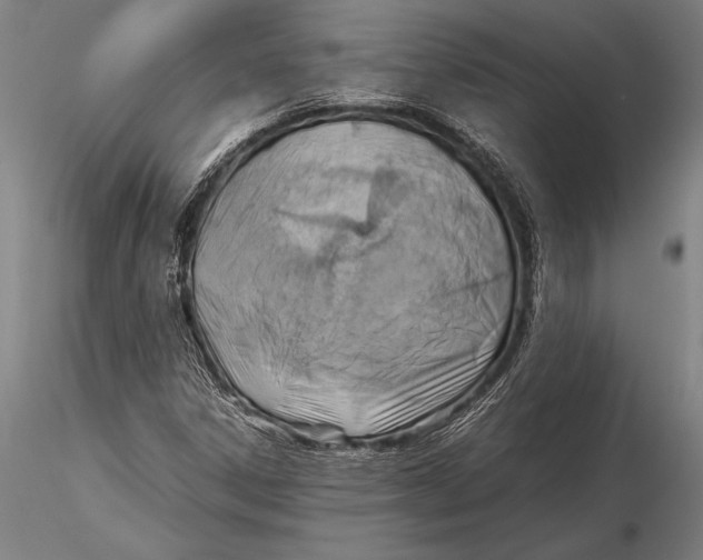 X0000116061306200912111518