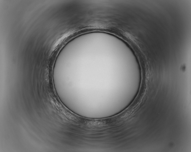 X0000116061307200912111518