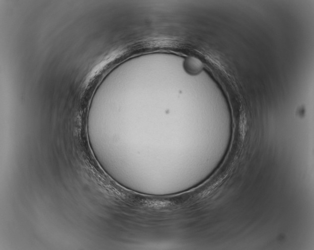 X0000116061309200912111518