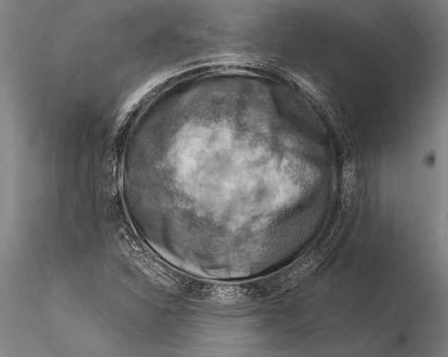 X0000116061310200912111518