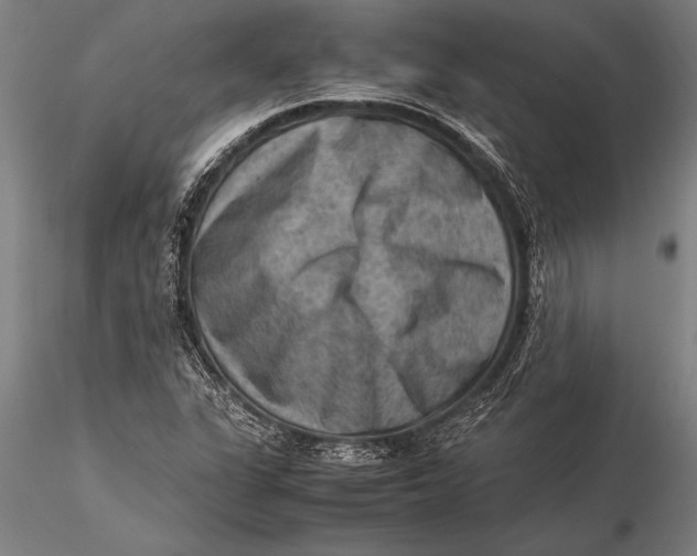 X0000116061311200912111518