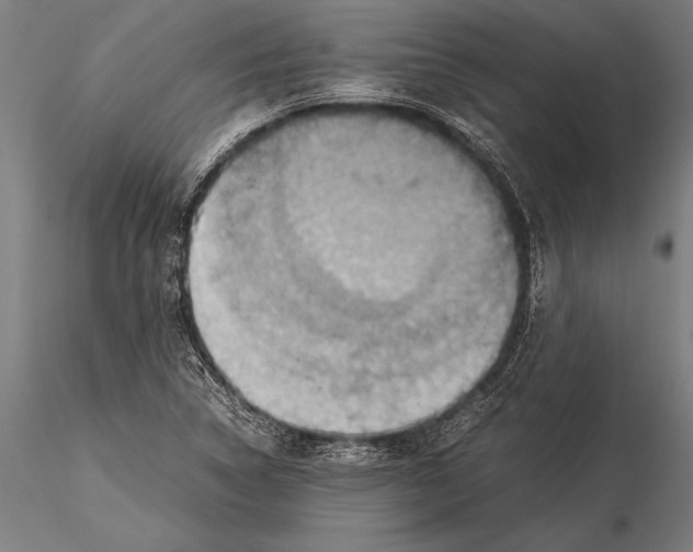 X0000116061314200912111518