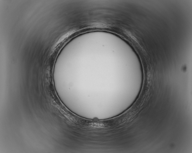 X0000116061315200912111518