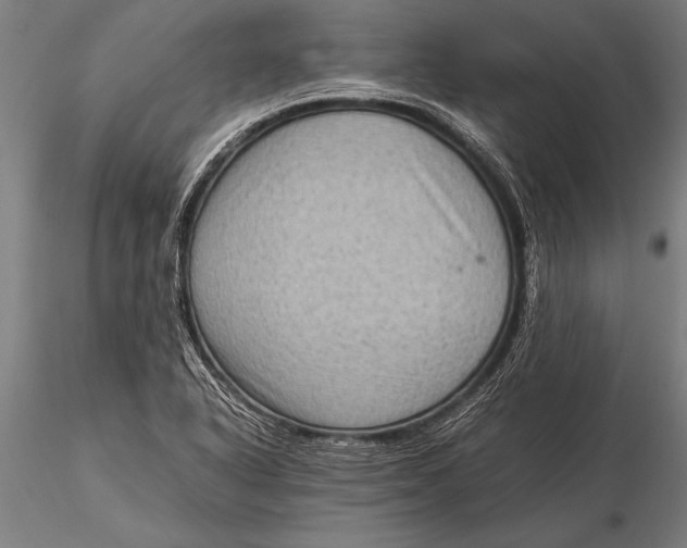 X0000116061318200912111518