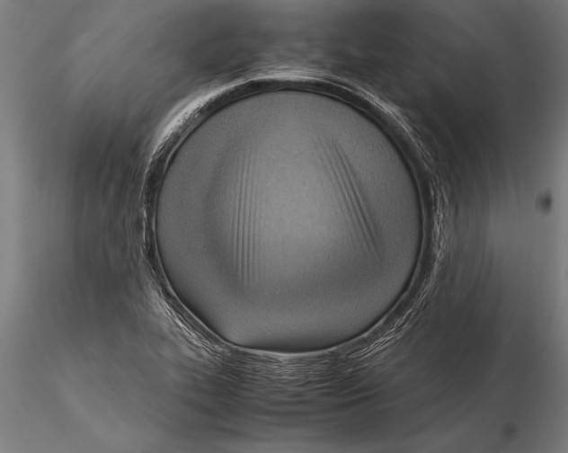 X0000116061319200912111518