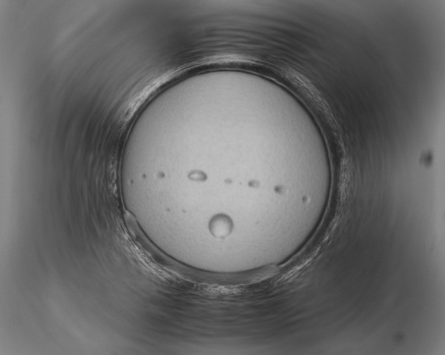 X0000116061321200912111518