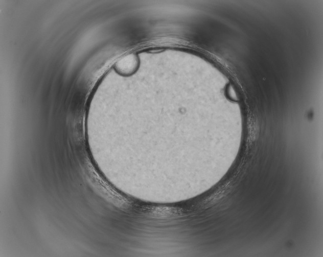 X0000116061322200912111518