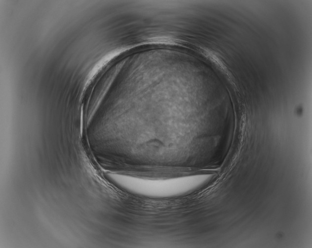 X0000116061323200912111518