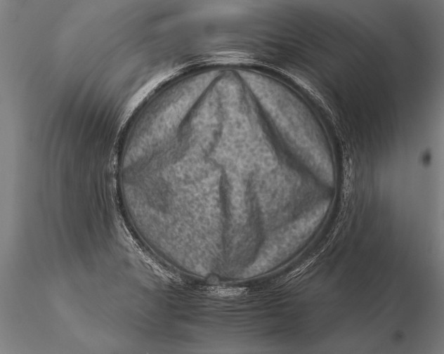 X0000116061325200912111518