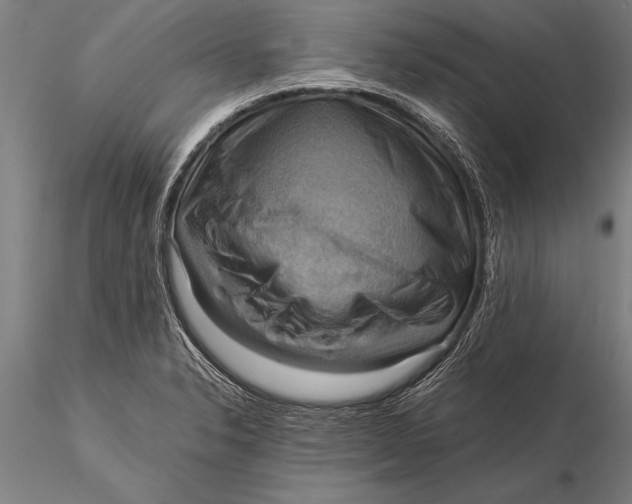 X0000116061326200912111518