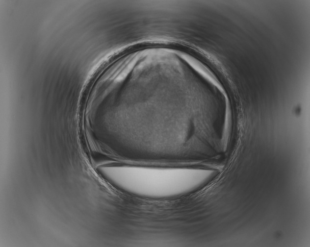 X0000116061327200912111518