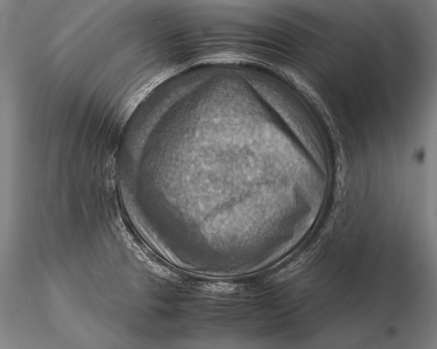 X0000116061329200912111518