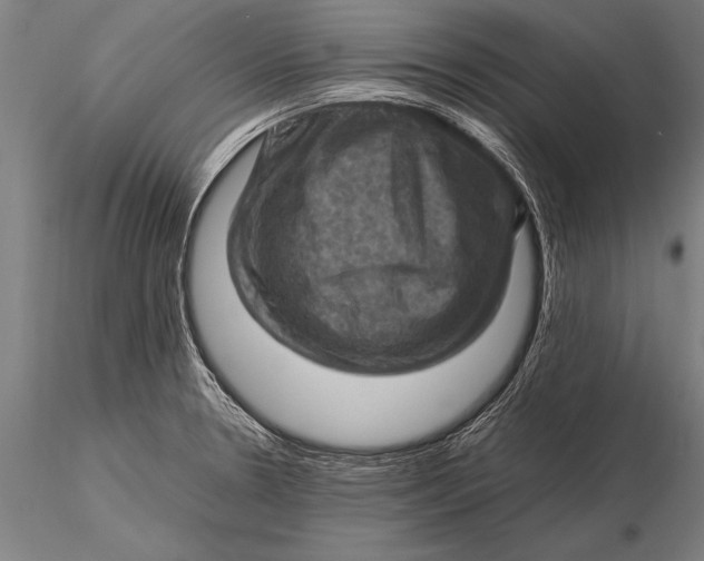 X0000116061330200912111518