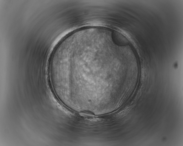 X0000116061331200912111518