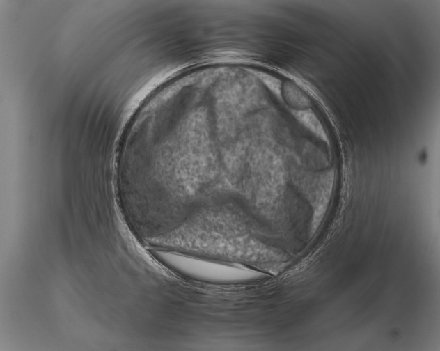 X0000116061333200912111518