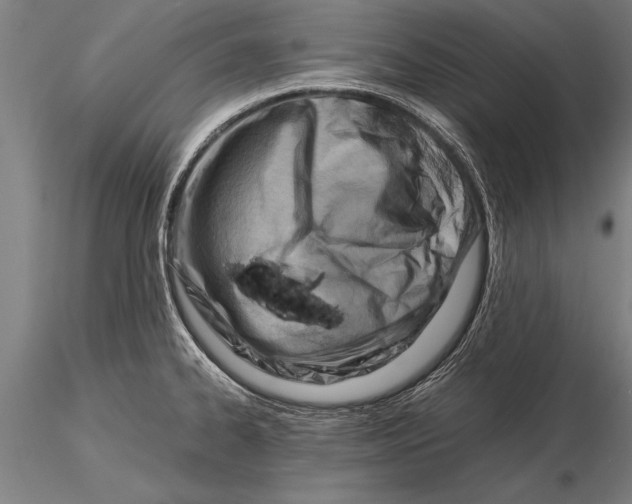 X0000116061334200912111518