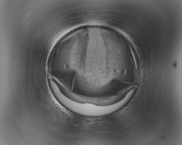 X0000116061335200912111518