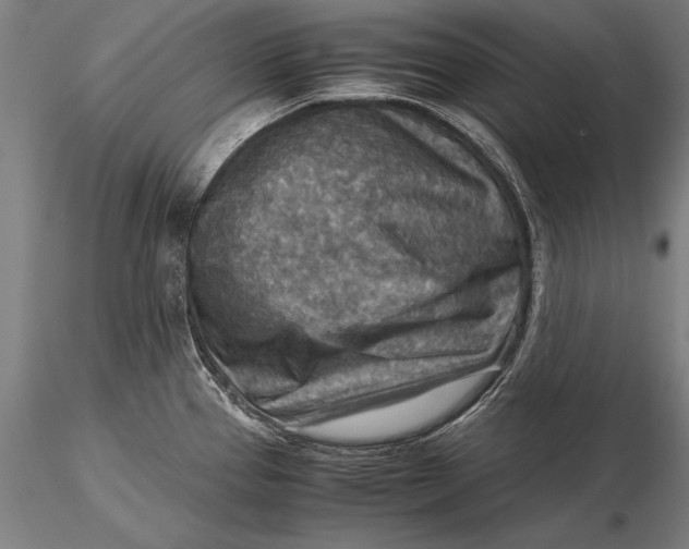 X0000116061337200912111519