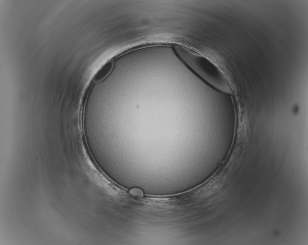 X0000116061342200912111519