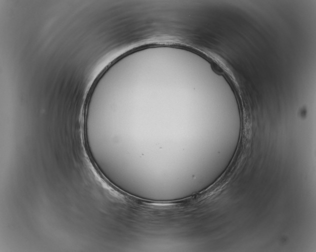 X0000116061343200912111519