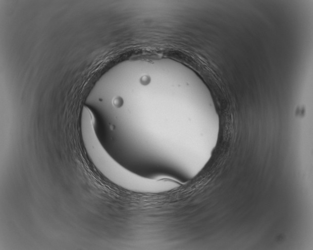 X0000116061345200912111518