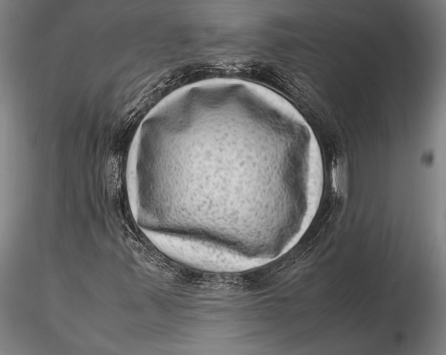 X0000116061347200912111518