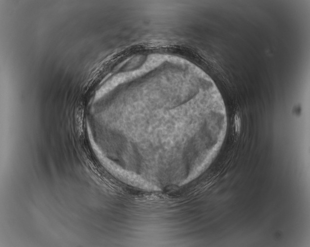 X0000116061348200912111518