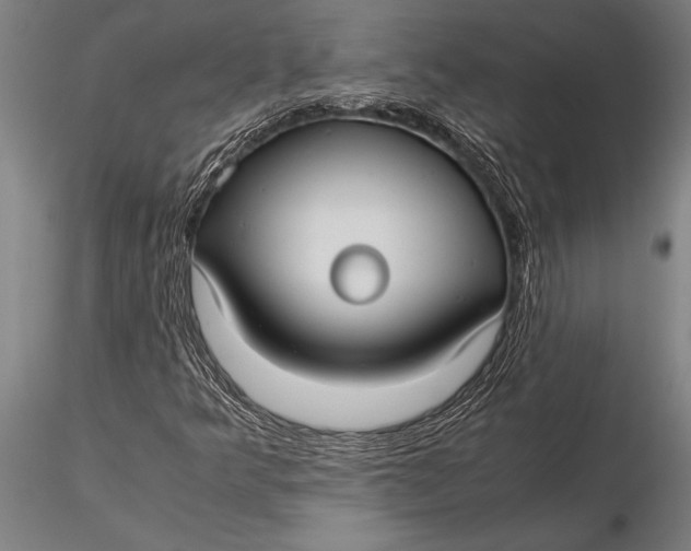 X0000116061349200912111518