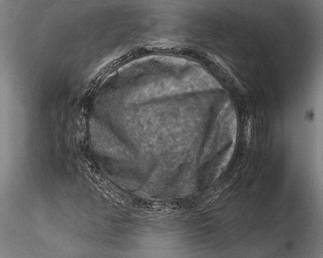 X0000116061350200912111518