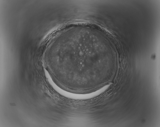 X0000116061351200912111518