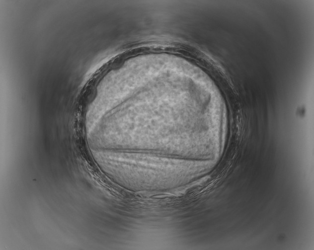 X0000116061352200912111518