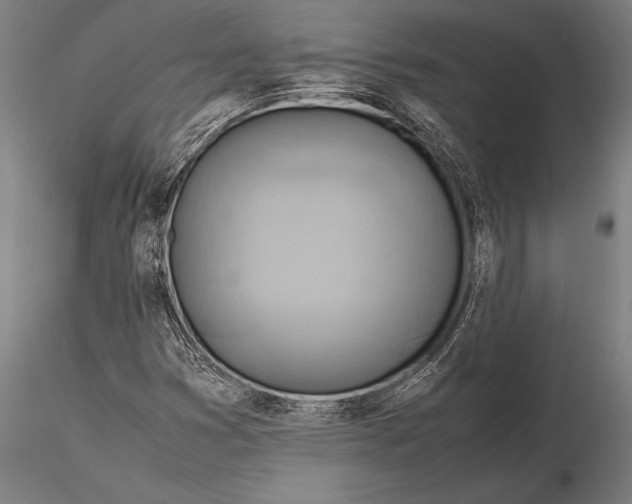 X0000116061353200912111518